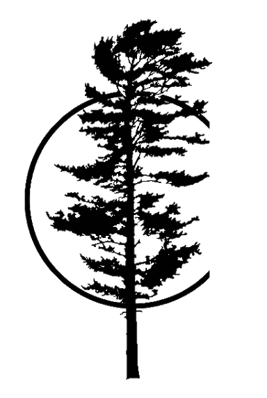 Constellation Island logo