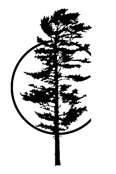Constellation Island logo